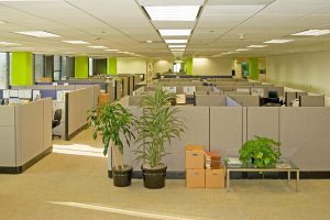 Corporate office settings showing desks, cubicles, files, and co modular panel and upholstery