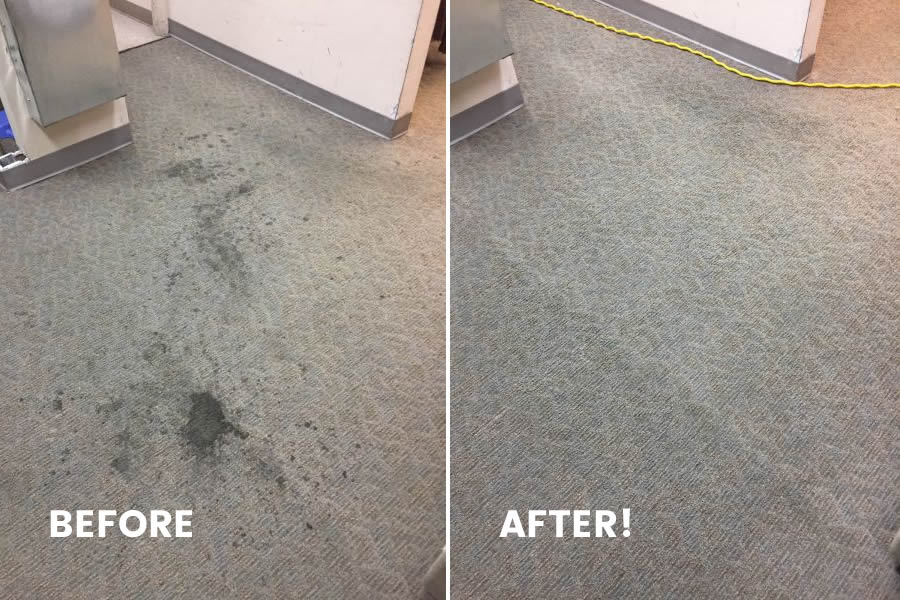 soiled carpet before and after